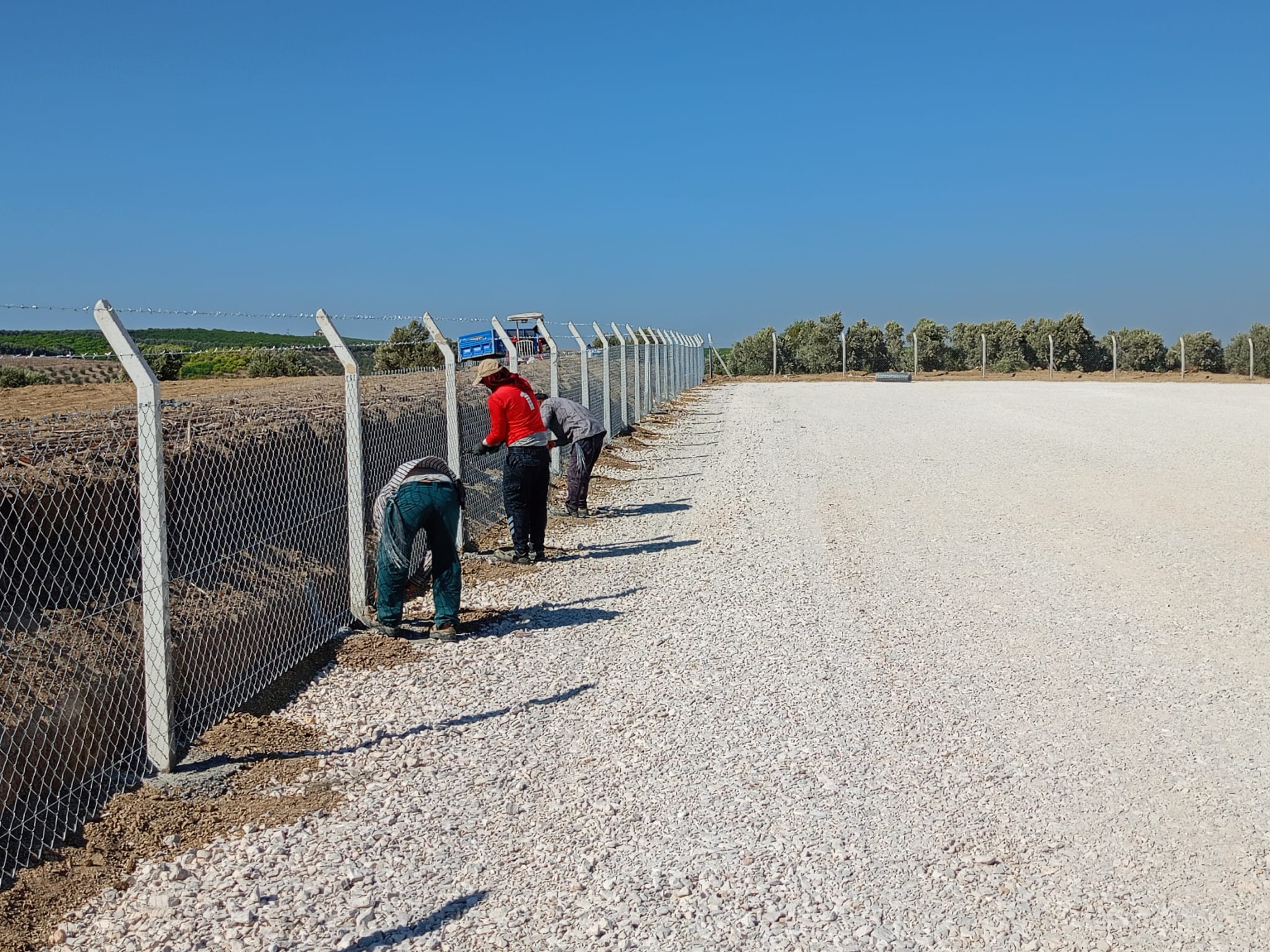 240cm Eğimli Beton Çit Direkleri